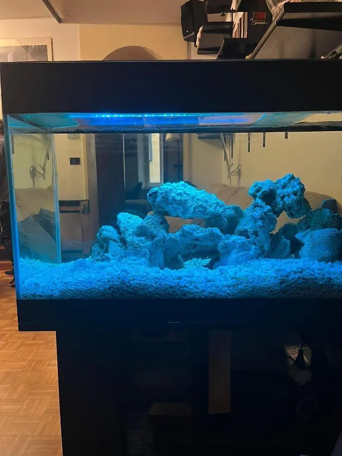 Red Sun Acquarium Apartment Bologna Italy